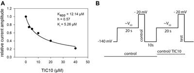 Block of Voltage-Gated Sodium Channels as a Potential Novel Anti-cancer Mechanism of TIC10